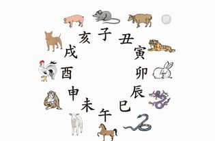 将勤以立身打一生肖，是哪个生肖呢？