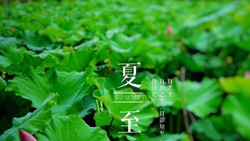 端午节源流虚假说之考证