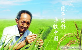隆平较高科:一个老头名字,怎么就成了