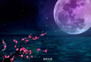 ：月光与回音之神秘交互——从国学视角审视潜在的能量响应机制