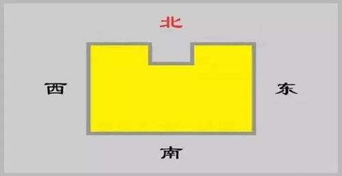 （一）对健康与情绪的潜在影响