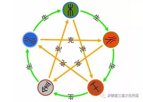 身体特征与健康状况的符号化解读