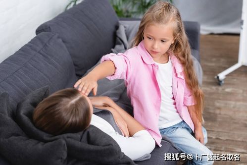 木字旁的魅力：为什么选择它？