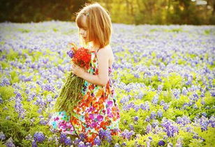 第二章：被拆解的文字碎片与重新组合的命运