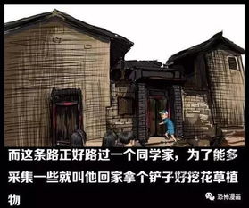 社交媒体二次传播及其影响