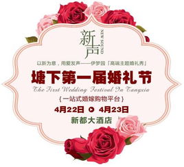 四、 活动策划要点及具体实施方案