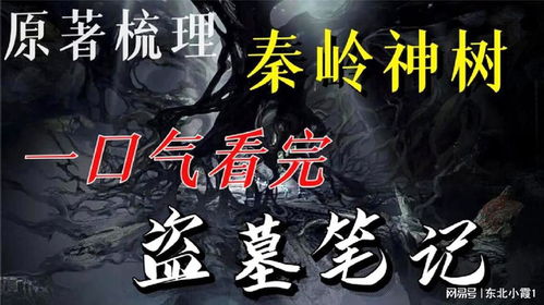 力量符号与缺失姓名之关联性探讨