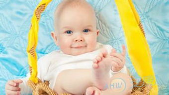 羊宝宝专属：寓意吉祥的名字