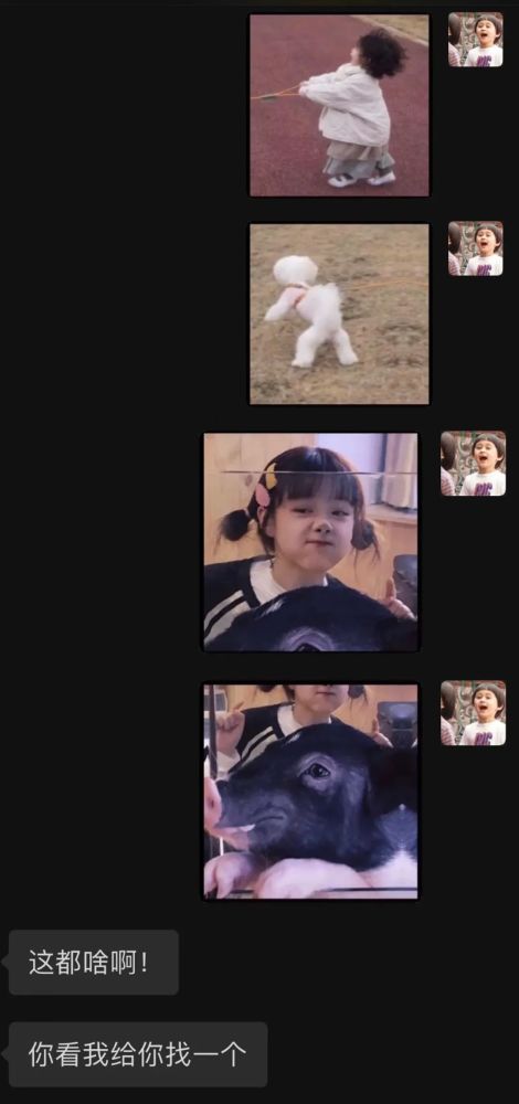 4.1 幽默解构：打破常规的互动模式