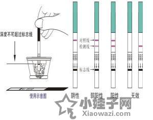 谁说28天才正常？揭秘你的月经密码