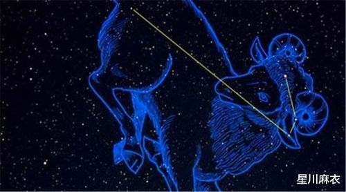 七月末水瓶星座运势如何？同时想知道天蝎座、白羊座、双子座的运势怎样？