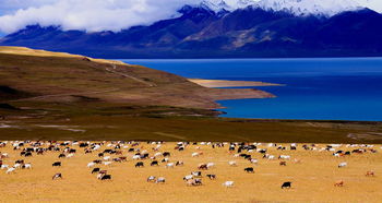 到底有多高？这根本不是人待的地方！