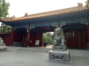 你以为景山公园只是故宫的“背景板”？较大错特错！
