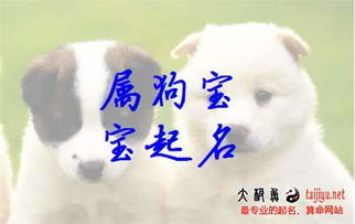 第一辑：阳光灿烂型——“旭”、“晖”系列