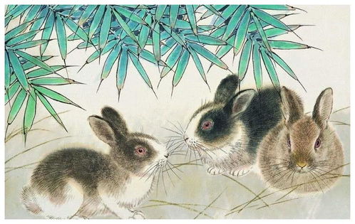 2. 材质选择与植物配置的嫩量协同