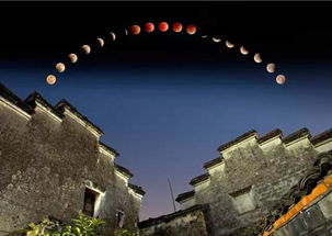 （二）多维度呈现：知识普及与审美提升并举