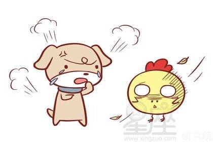 属狗女性与属猪男性结婚，他们的婚姻会和谐吗？