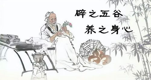 2.2 服气吞津与意志力支撑的能量博弈