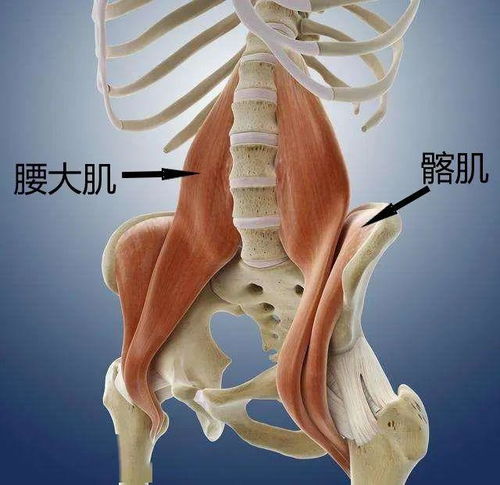 江门市有哪些著名的十大风水名穴？