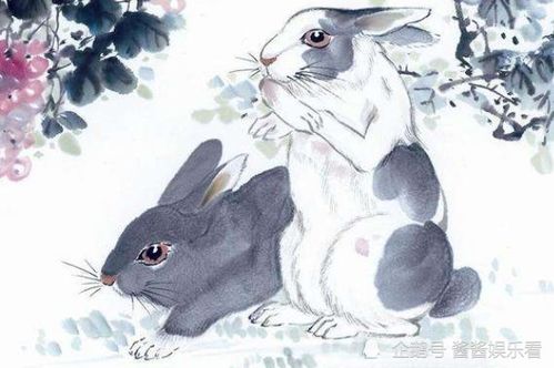 1975年属兔的人哪些年份财运较好？转运招财兔的含义是什么？