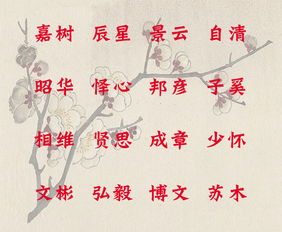 珉字取名对女孩吉凶如何？更适合男孩还是女孩起名呢？