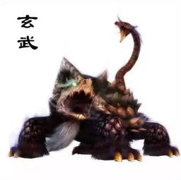 3. 朱雀（南方）——火之象征