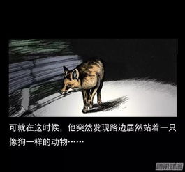 ：阴阳交替之际的时空场域与因果律的显化