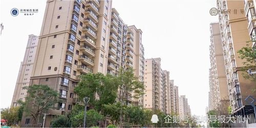 三、 2026年最新指南！这样布置才能旺到飞起！