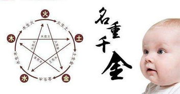 二、 命理学解析：五行搭配与宜用性