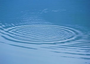 冷若冰霜的生肖是什么？冷若冰霜打一精准生肖是什么生肖的意思是什么？