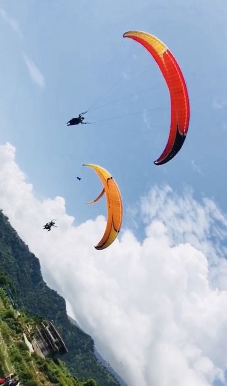 改名的意义：重塑羽翼