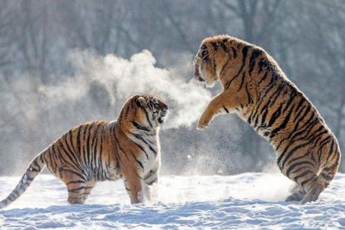 对付“坏”命名的终极方法 – 改名大法