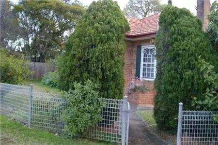 种树也要看黄历