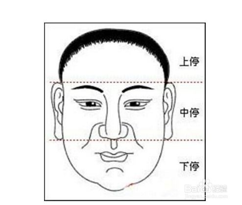 地包天在面相学中究竟预示着怎样的命运或人生走向？