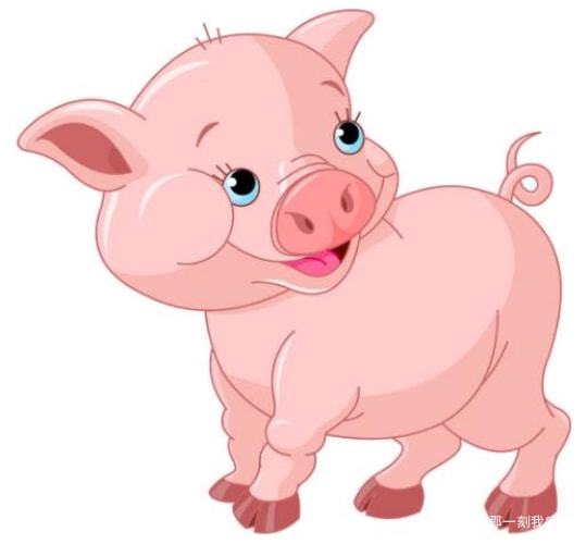 独家爆料！属猪人做这些生意能赚大钱！