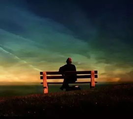 案例剖析：属狗巨蟹座小王的风水调适与星座融合实践