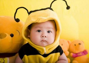 子轩 (气宇轩昂)