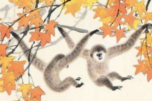 2026年属猴人运势详解书中的明日猴运势是什么意思？