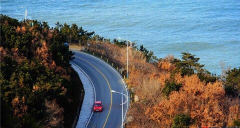 威海篇: 干净得让人不敢下脚海鲜吃到吐