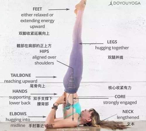 (补充)其他人体部位记录持有者及文化底蕴意义