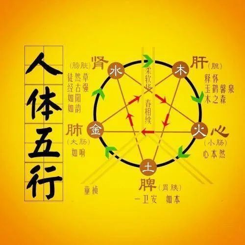 ：五行缺火之体质与调摄之必要性