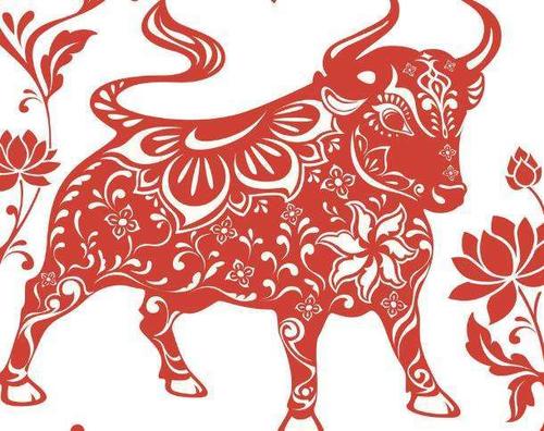 属牛的今天运势方位，哪个方位最吉利呢？