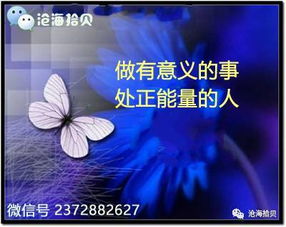 星象解读：性格特质在网名设计中的体现
