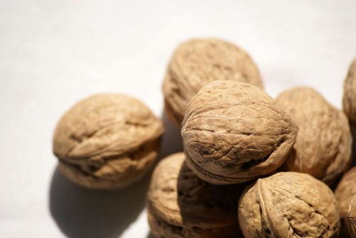 7. 心理学砖家建议