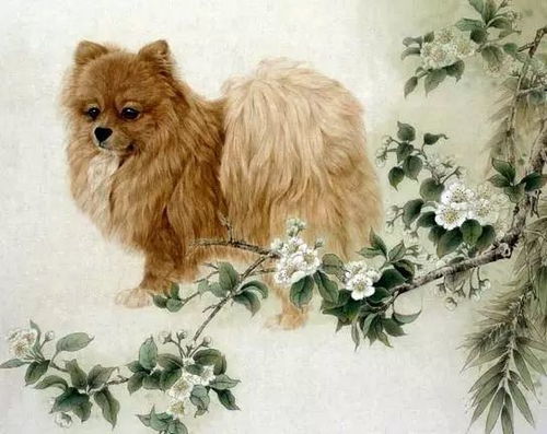 属猪女生于卯时运势如何，与属狗男丑时相配吗？