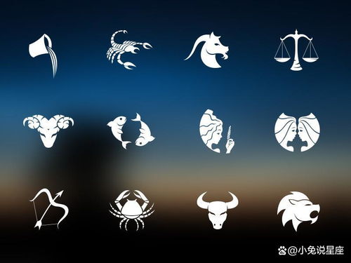 水瓶座和摩羯座配对，哪个星座在关系中更具优势？