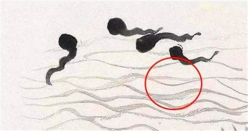 一、为何执念于“14画”？