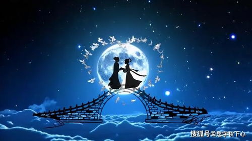 牛郎织女：年度最惨异地恋