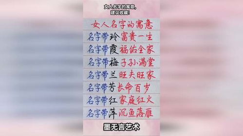 6、 终极推荐清单（随便挑挑，总有一款适合你） 🚀🚀🚀