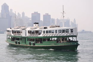 文化沉浸篇: